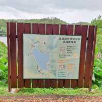 宜蘭 | 「龍潭湖特定風景區」，園區內有超多白鷺鷥棲息，還有悠遊在湖畔的鴨子群