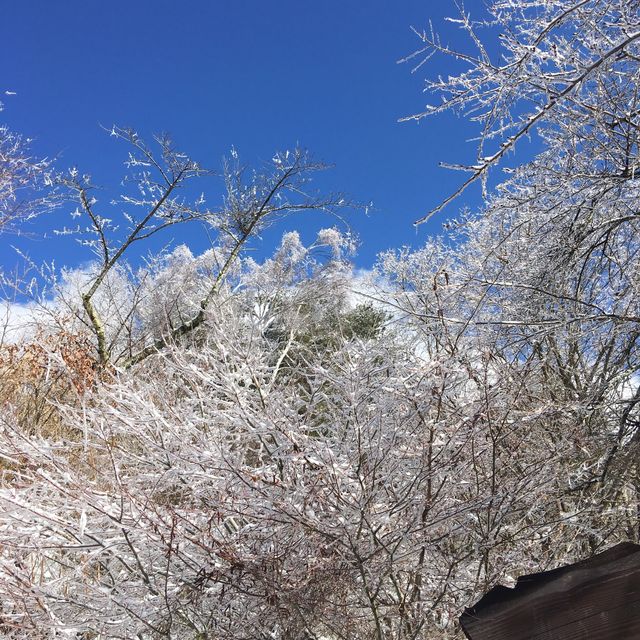 河口湖天上山公園❄️❄️
