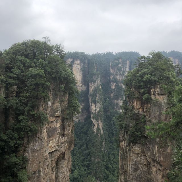阿凡達拍攝地！張家界-國家森林公園