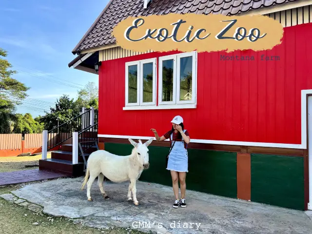 ชมสัตว์น่ารักที่ Exotic Zoo : Montana Farm 