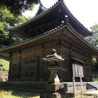 珍しい珍しい山登りに行きました。