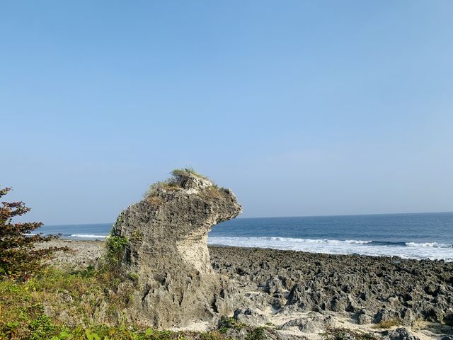 屏東小琉球景點-白燈塔、老榕樹秘境、青蛙石、老鼠岩