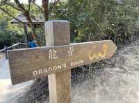人氣行山路線：龍脊🐉