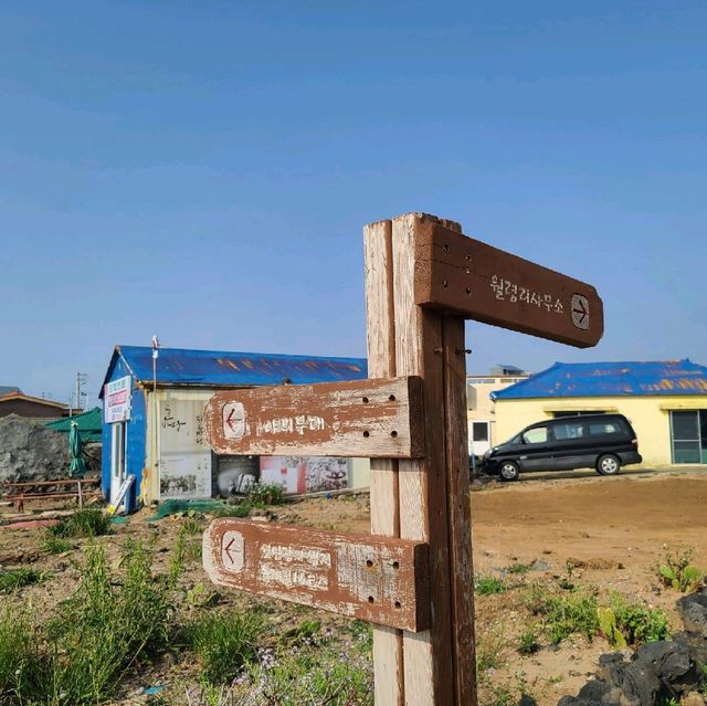 제주 선인장 마을