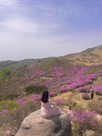 봄엔 철쭉보러 황매산 가야지 💗
