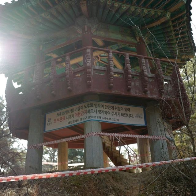 대전 우성이산 등산 