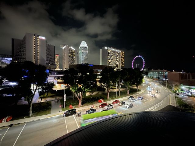 City views from Esplanade rooftop
