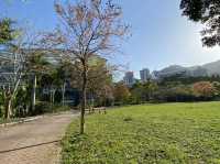 愉景灣中央公園