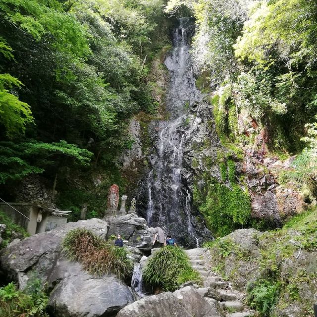 [佐賀]裏道でさらに森林浴🌳「清水の滝」