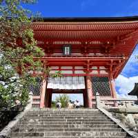 【京都】京都といえば！誰もが知る有名なお寺