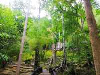 เที่ยวชมธรรมชาติ ที่น้ำตกไทรโยคน้อย