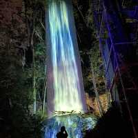 Teamlab: a forest where gods live 