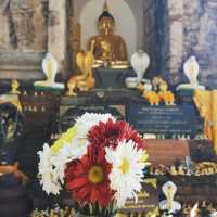 ไหว้พระวัดเจ็ดยอด@เชียงใหม่