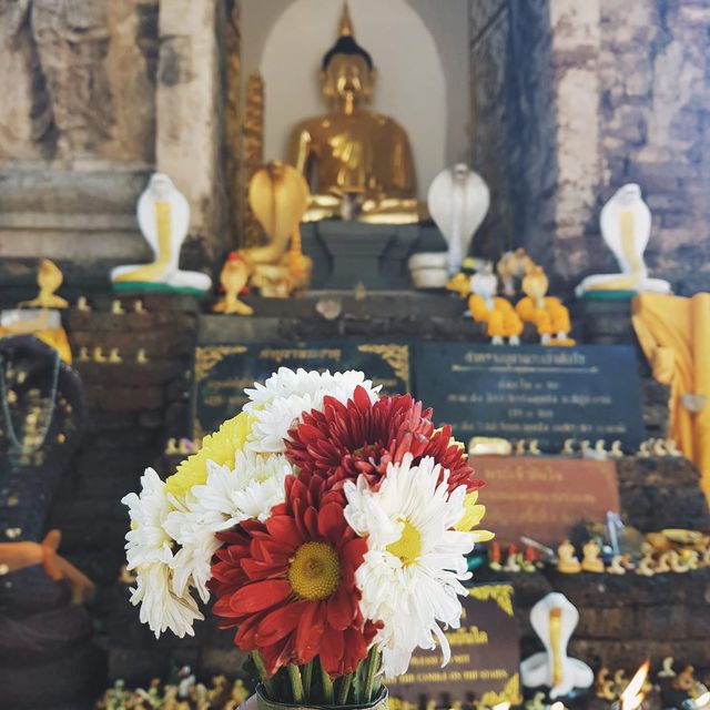 ไหว้พระวัดเจ็ดยอด@เชียงใหม่