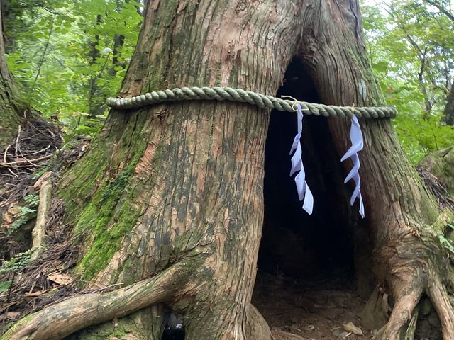 【長野のパワースポット】戸隠神社