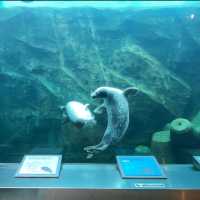 【旭山動物園】北海道/旭川市