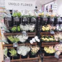 💐🪴發現美好UNIQLO Miramar Store UNIQLO 美麗華店🍀🌵