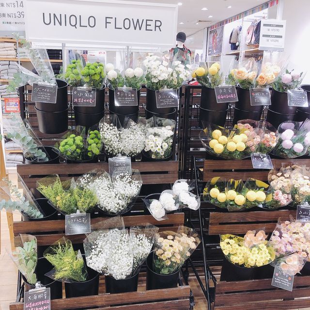 💐🪴發現美好UNIQLO Miramar Store UNIQLO 美麗華店🍀🌵