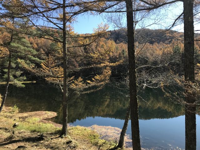 【長野】有名な絵のモデルにもなった紅葉の御射鹿池をご紹介