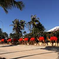 THREE TOP PLACES TO VISIT IN BROOM