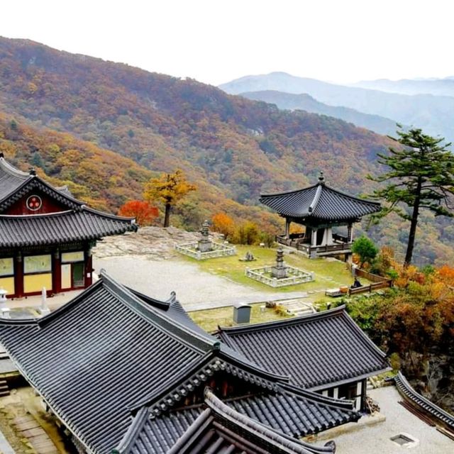 단풍이 아름다원 산 이름이 되다