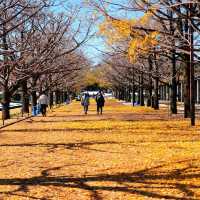 BEST TOKYO AUTUMN SPOT