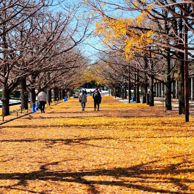 BEST TOKYO AUTUMN SPOT