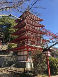 เจดีย์แดงชูเรโตะ (Chureito Pagoda) 