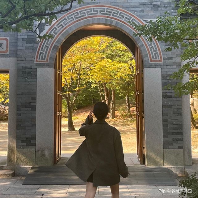 단풍 명소로 유명한 용인 호암 미술관 
