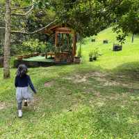 Day Trip - Back to Nature Cafe