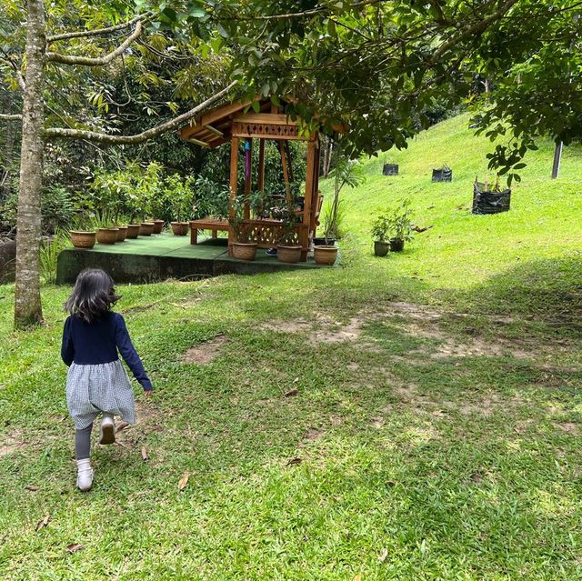 Day Trip - Back to Nature Cafe