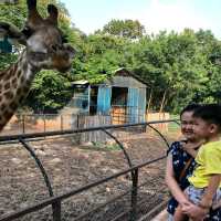 Khao Yai's Bonanza Exotic Zoo