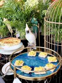 。高質靚景甜品下午茶Buffet。