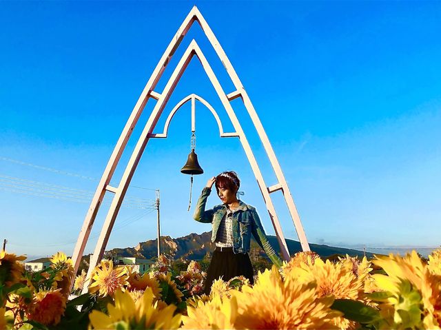 臺中后里 市郊人氣後花園 中社觀光花市花海