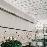 📍 SINGAPORE Changi Airport 