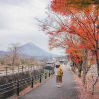 🗻SAIKO Iyashi no sato NENBA