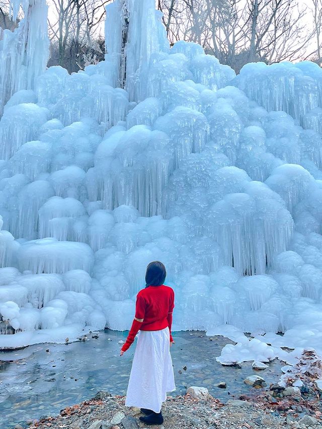 대구판 겨울왕국 ❄️👑