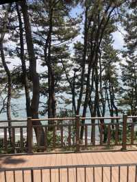 부산 바다가 보이는 해변열차