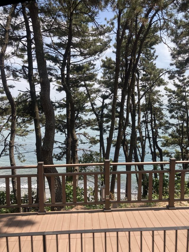 부산 바다가 보이는 해변열차