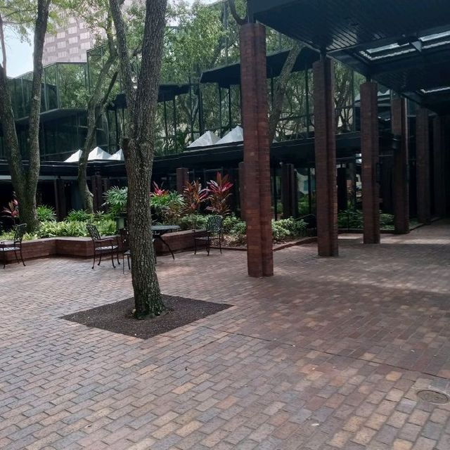 park in downtown Tampa