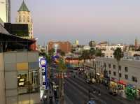 Glamour, Charm and Shine - Hollywood Street