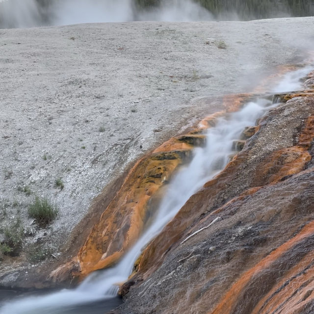 West Yellow Stone National Park 