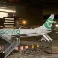 [paris] transavia 항공 후기  
