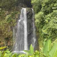 Cloud Forest, Costa Rica