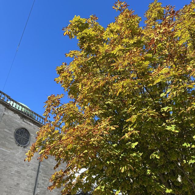 Autumn in Aarhus