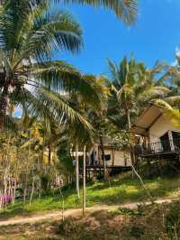 Next Level Glamping in Hainan 🏕🌴