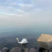 The Largest Lake in Central Europe 