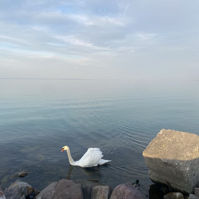 The Largest Lake in Central Europe 
