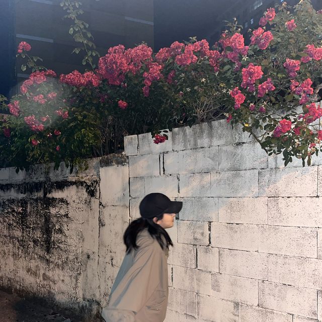 밤 중 피크닉💕