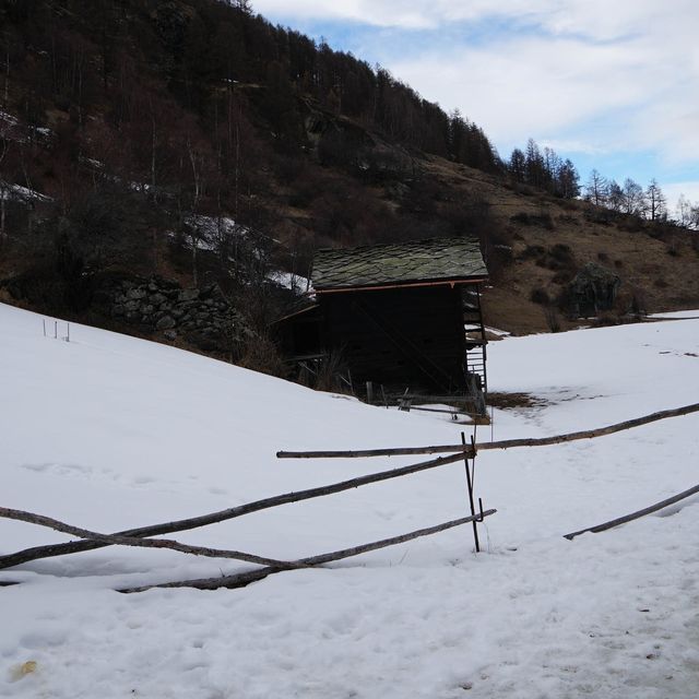 Ski Adventure in the Alps!